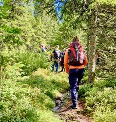 Wandeling bij Lybergsgnupen